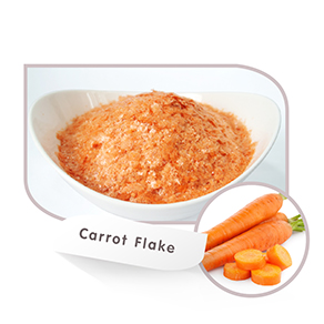 Drum Dried Carrot Flake Powder